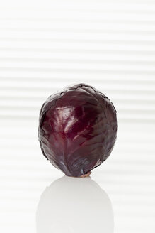 Rotkohl, Nahaufnahme - CSF016834