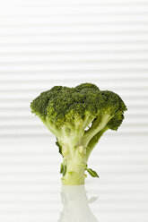 Broccoli, close up - CSF016845