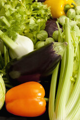 Variety of vegetables, close up - CSF016920