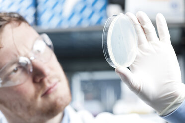Germany, Young scientist checking petri desh - FLF000282