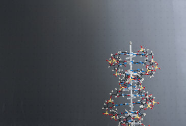Deutschland, Modell eines DNA-Moleküls vor einer Kreidetafel - FLF000293