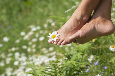 Austria, Altenmarkt-Zauchensee, Mid adult woman holding flower between toes - HHF004467