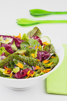 Salat in Schüssel mit Serviette und grünem Plastiklöffel, Nahaufnahme - GWF002168