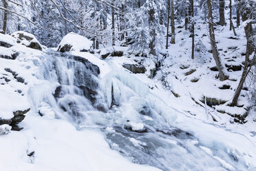 Germany, Bavaria, View of Riesloch Falls at Bavarian Forest - FOF004837