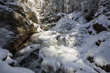 Germany, Bavaria, View of Riesloch Falls at Bavarian Forest - FOF004838