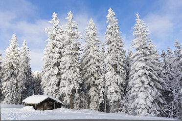 Deutschland, Bayern, Verschneite Holzhütte und Bäume im Bayerischen Wald - FOF004842