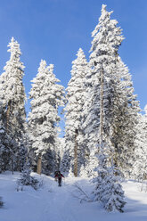 Germany, Bavaria, Mature man and woman hiking on Grosser Arber - FOF004847