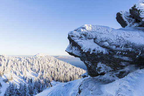 Deutschland, Bayern, Blick auf eine Felsformation im Bayerischen Wald - FOF004858