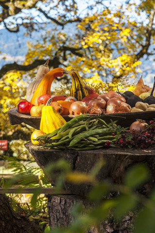 Österreich, Salzburger Land, Verschiedene geerntete Früchte im Garten, lizenzfreies Stockfoto