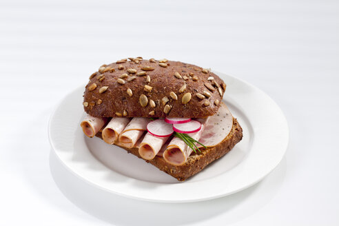 Sandwich aus Vollkornbrötchen mit Geflügel- und Kräuterpastete auf Teller, Nahaufnahme - CSF017228
