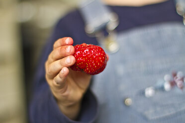 Girl holding strawberry in her hand, close up - JFEF000003