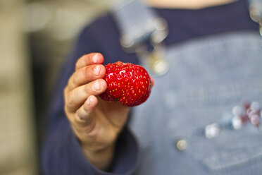 Mädchen hält Erdbeere in der Hand, Nahaufnahme - JFEF000003