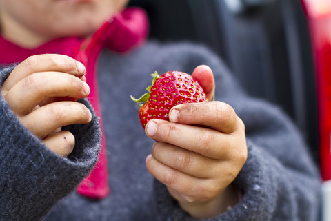 Mädchen hält Erdbeere in der Hand, Nahaufnahme, lizenzfreies Stockfoto
