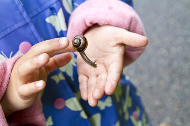 Denmerk, Girl holding burgundy snail in hand, close up - JFEF000026