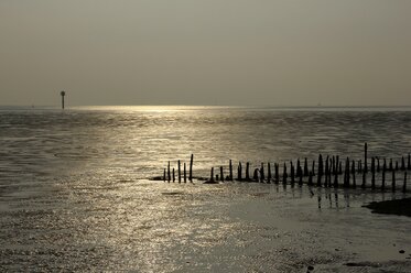 Deutschland, Blick auf das Wattenmeer bei Weddewarden - SJF000002