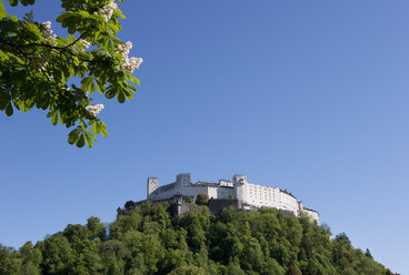 Österreich, Salzburg, Blick auf die Burg Hohensalzburg - WW002685