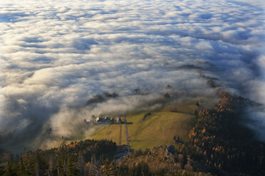Österreich, Salzkammergut, Blick auf nebelverhangenes Bauernhaus - WW002698