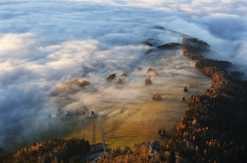 Österreich, Salzkammergut, Nebelverhangene Bäume, lizenzfreies Stockfoto