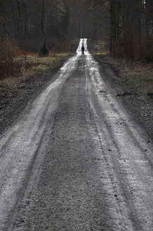 Deutschland, Baden Württemberg, Mann geht auf Waldweg - AXF000431