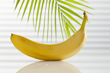 Banane mit Palmblatt, Nahaufnahme - CSF017517