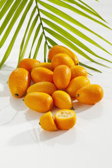 Kumquats und Palmwedel auf weißem Hintergrund, Nahaufnahme - CSF017493