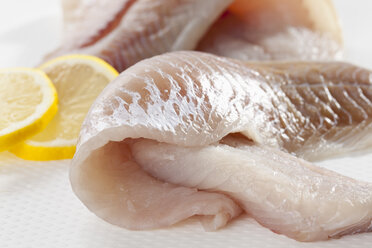 Fresh pollock fillet in tray, close up - CSF017476