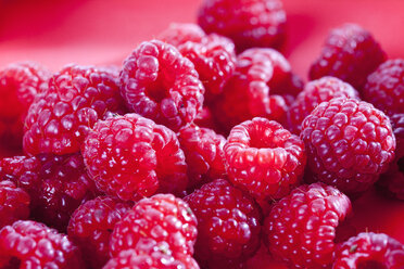 Raspberries on red background, close up - CSF017451