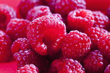 Raspberries on red background, close up - CSF017450