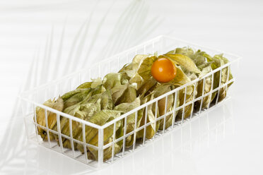 Physalis in Plastikbox, Nahaufnahme - CSF017442