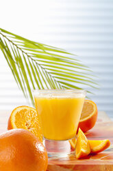 Glas mit Orangensaft und Palmblatt, Nahaufnahme - CSF017411