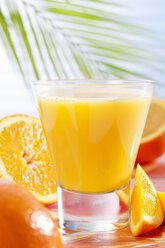 Glas mit Orangensaft und Palmblatt, Nahaufnahme - CSF017410