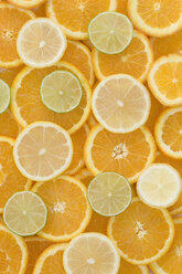 Orangen-, Zitronen- und Limettenscheiben, Nahaufnahme - ASF004860