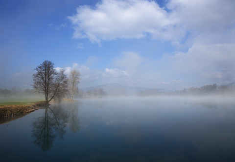 Österreich, Blick auf Bäume im Morgennebel am Mondsee, lizenzfreies Stockfoto