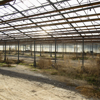 Germany, Borschemich, Greenhouse out of function - HL000095