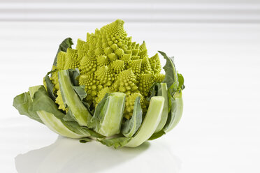 Romanesco-Brokkoli auf weißem Hintergrund, Nahaufnahme - CSF017645