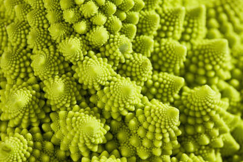 Romanesco-Brokkoli, Nahaufnahme - CSF017644