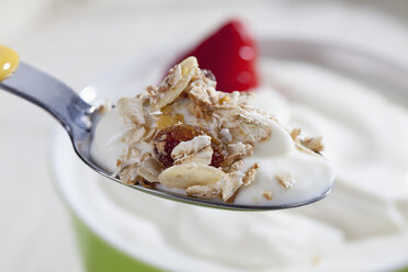 Schale und Löffel mit Joghurt und Müsli, Nahaufnahme - CSF017622