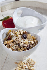 Schale mit Müsli, Joghurt und Obst, Nahaufnahme - CSF017620