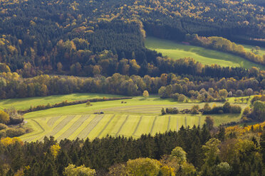 Deutschland, Baden Württemberg, Blick auf Feld in Waldnähe bei Hechingen - WDF001625