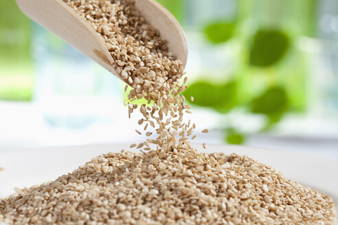 Seasame seeds pouring from wooden scoop, close up - CSF017723