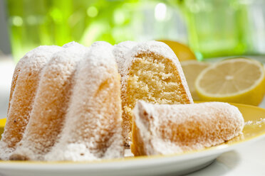 Zitronenkuchen mit Puderzucker, Nahaufnahme - CSF017741