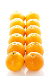 Reihe von Orangen vor weißem Hintergrund, Nahaufnahme - MAEF006096