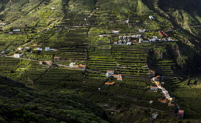 Spanien, La Gomera, Blick auf das Feld bei Hermigua - DISF000012