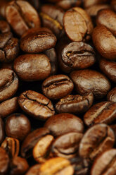 Germany, Coffee beans, close up - HOHF000085