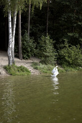 Deutschland, Brandenburg, Schwan im See - TK000066