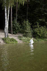 Germany, Brandenburg, Swan in lake - TK000066