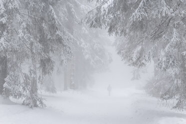 Germany, North Rhine Westphalia, Person hiking in snowy and foggy forest in Sauerland near Winterberg - HSKF000001