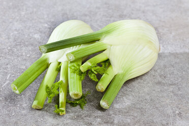 Fenchel in der Küche, Nahaufnahme - CSF017813