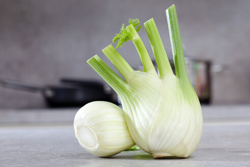 Fenchel in der Küche, Nahaufnahme - CSF017815