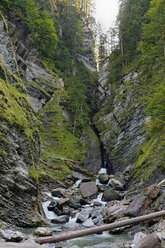 Österreich, Vorarlberg, Blick auf den Wasserfall im Bregenzer Wald - SIE003533
